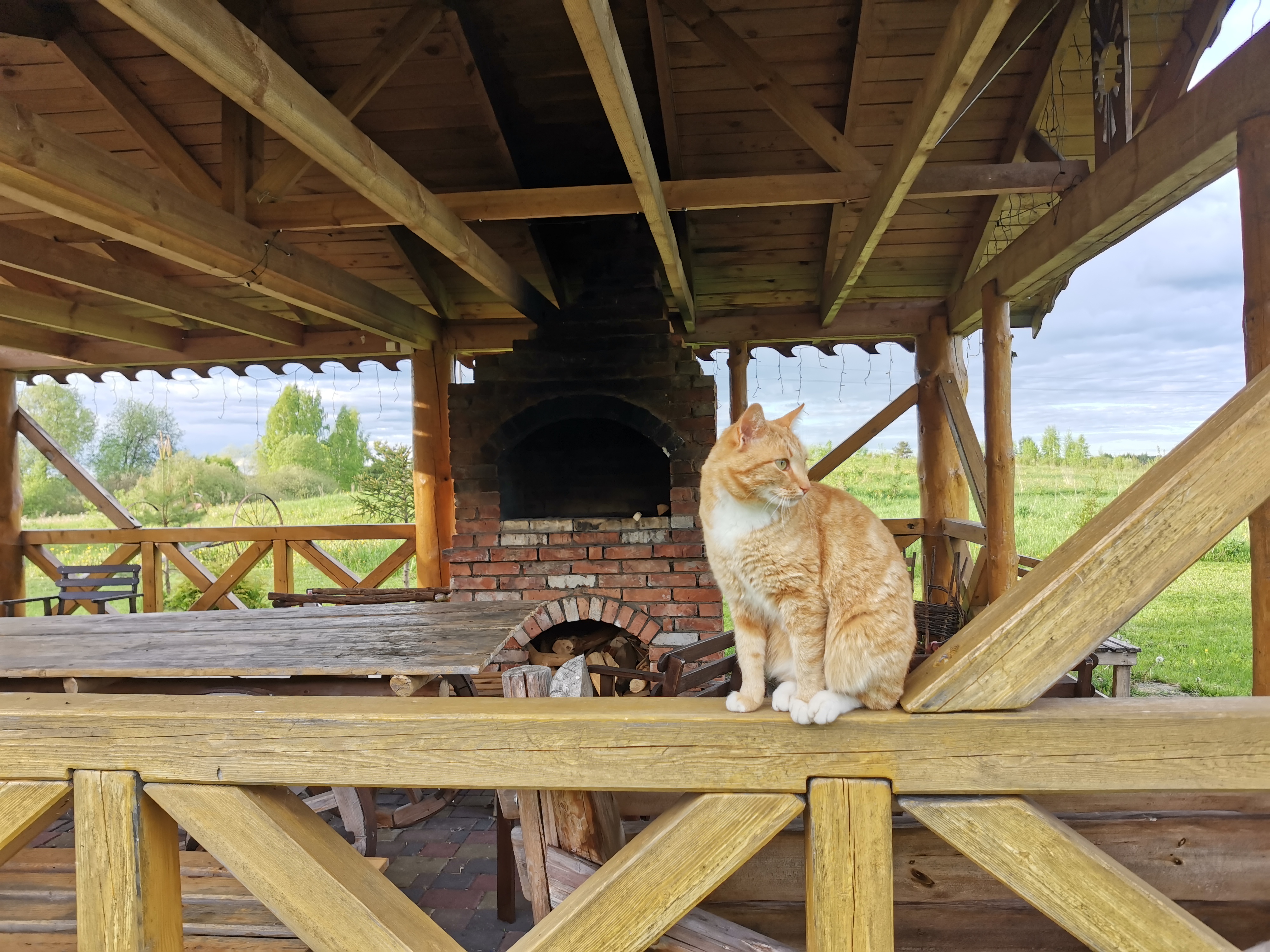 Фото Псковские дали