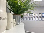 Printax (Pavlovicha Street, 6/1), it company