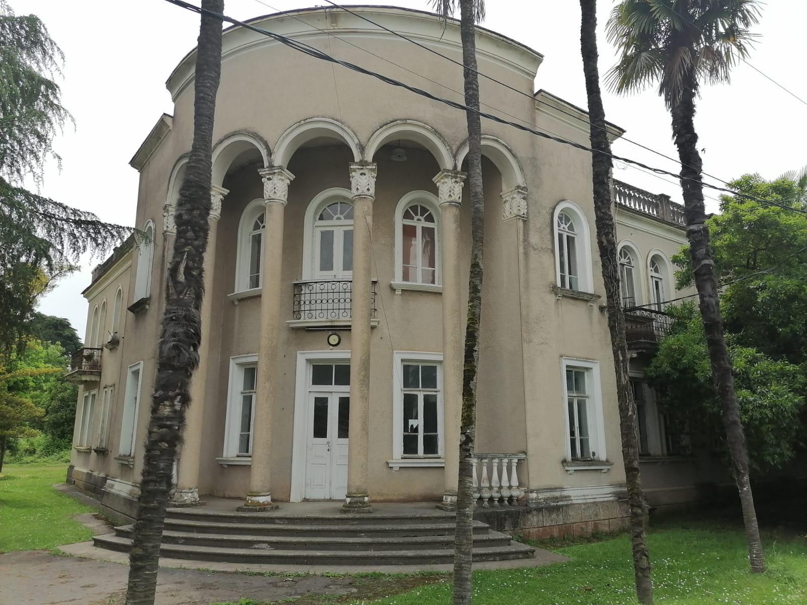 Фото Цитрус 1