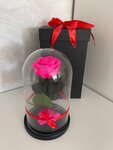 Розы в колбе (Adler, Golubiye Dali Street, 99Г), flower shop