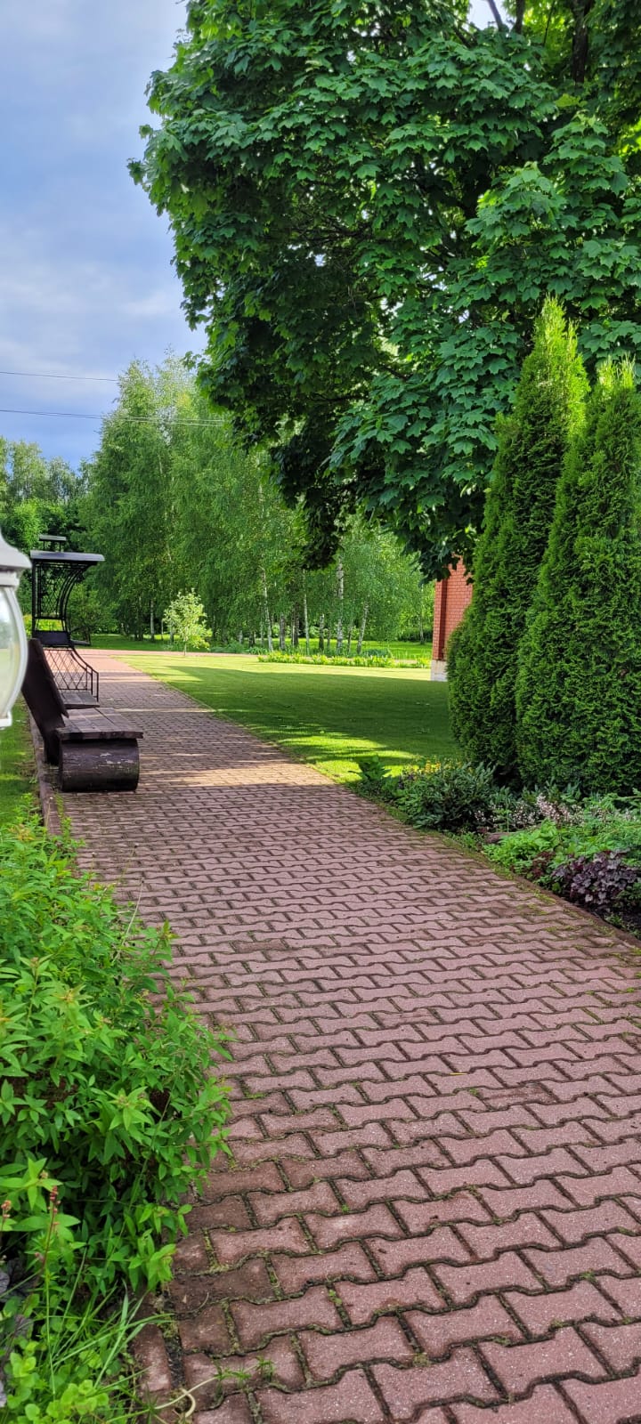 Фото Фроотель