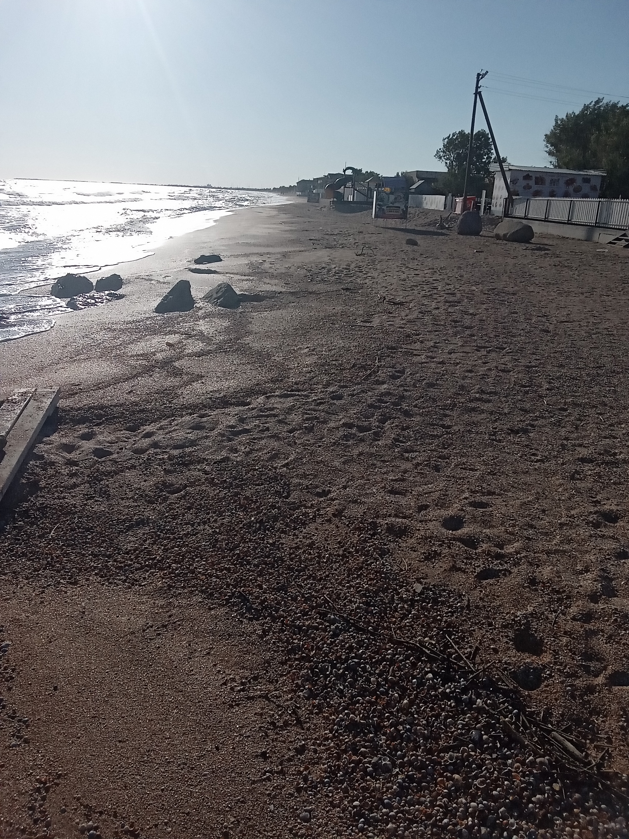 Фото Жемчужина