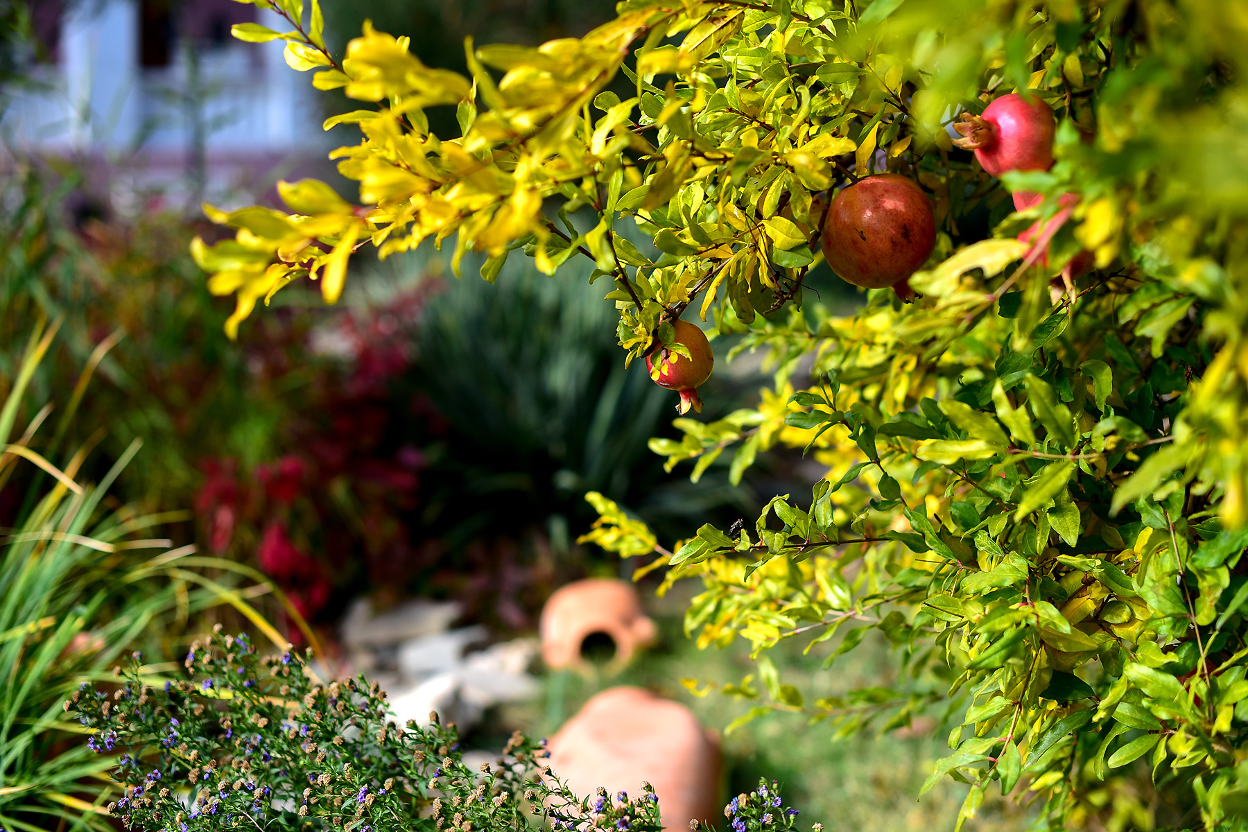 Фото Трехгорка