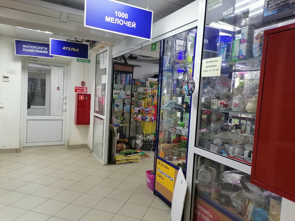 Магазин хозтоваров и бытовой химии 1000 Мелочей, Нижний Новгород, фото
