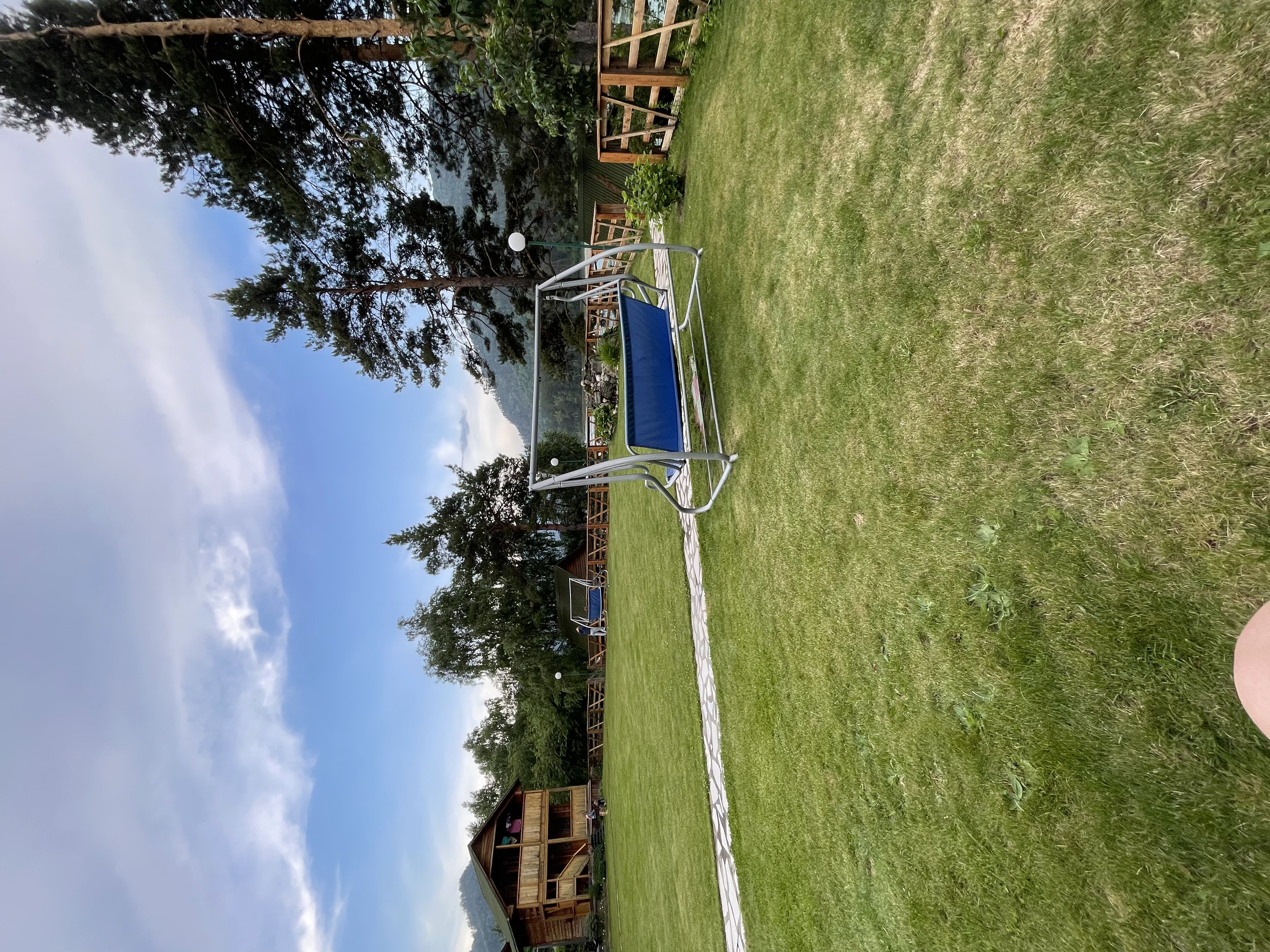 Фото Альбатрос