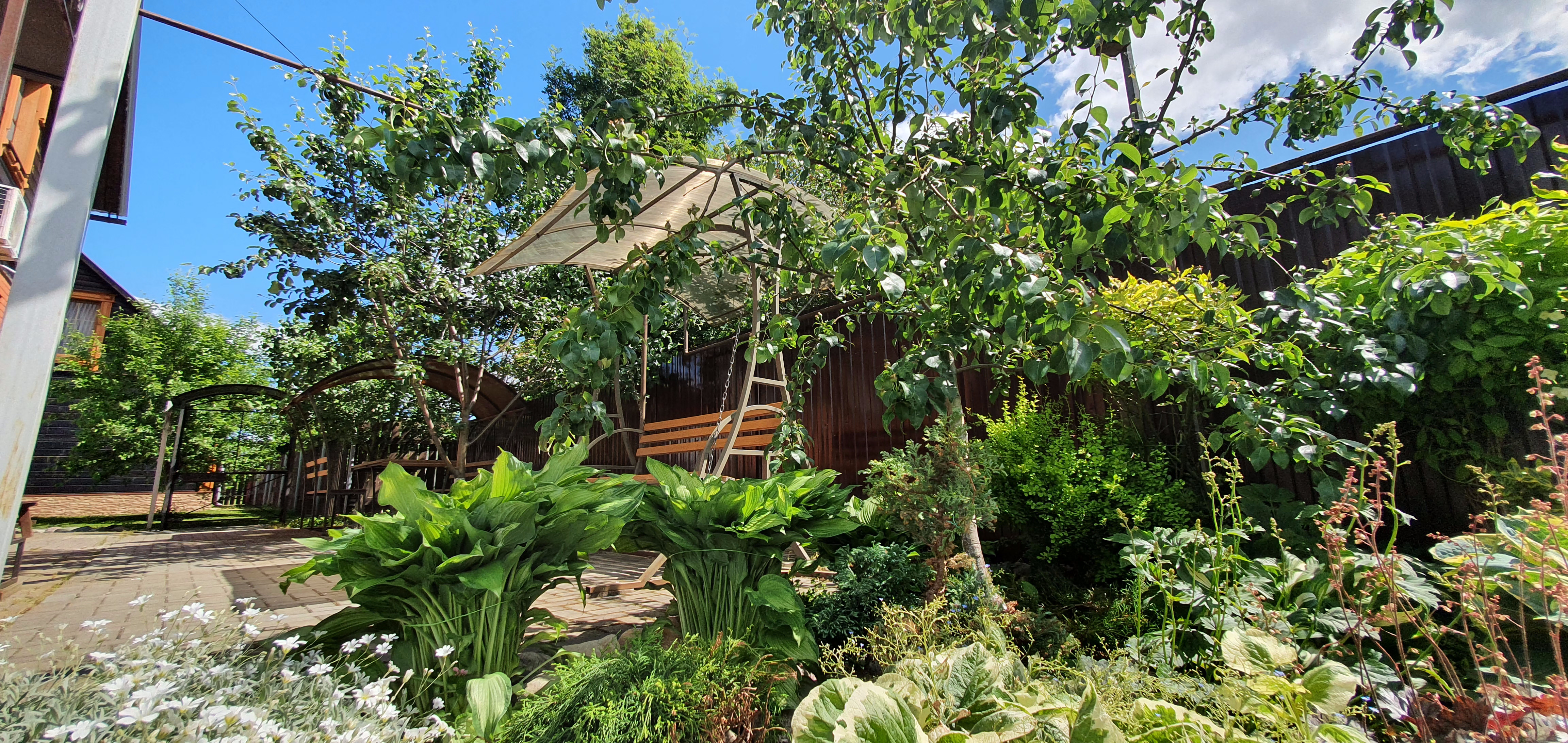 Фото Любимый Суздаль