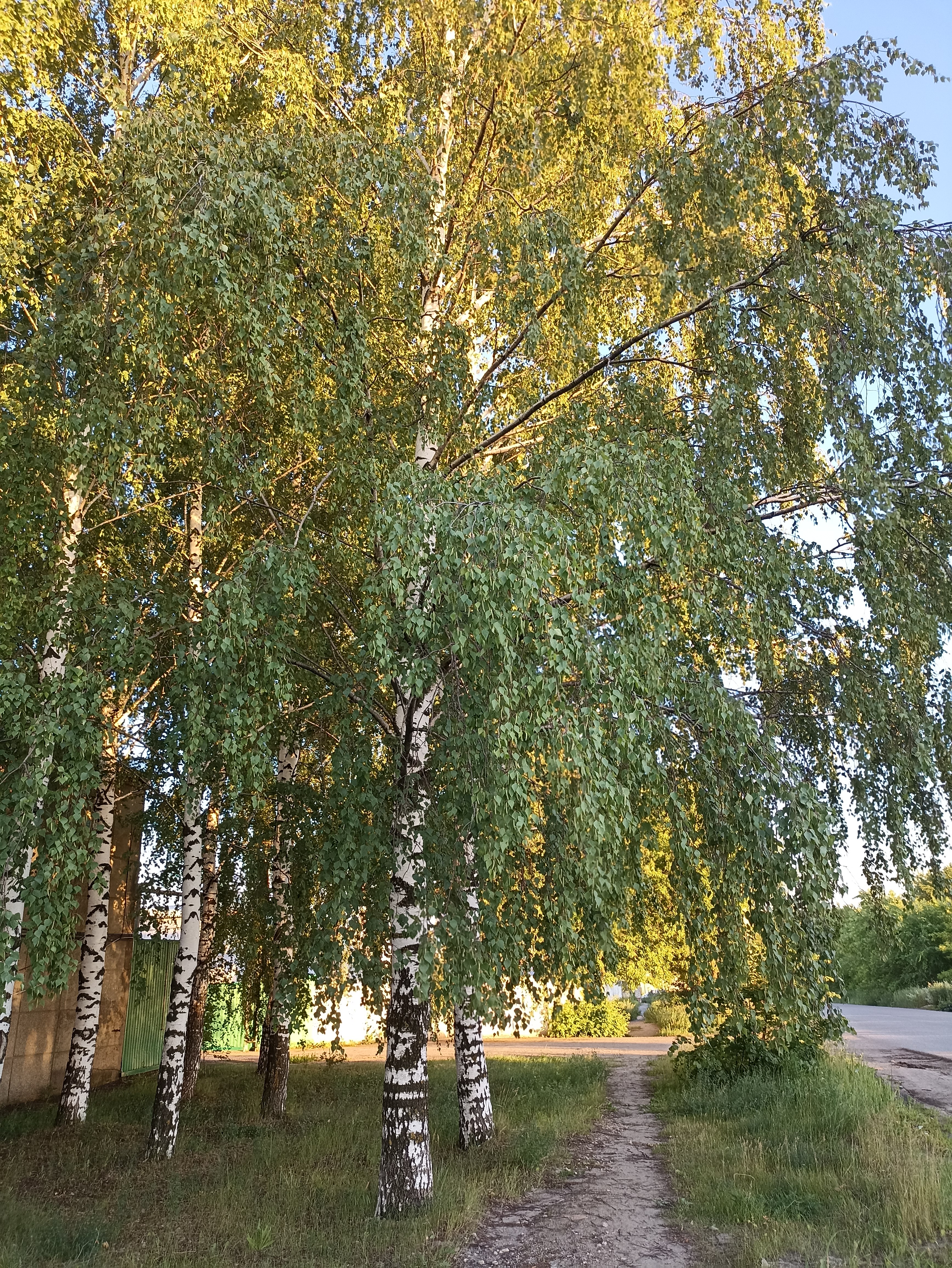 Фото Рассвет