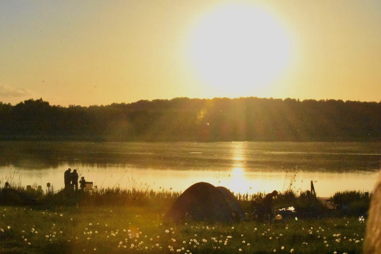 Фото Белая цапля