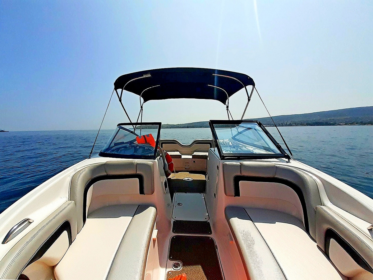 Фото Белая акация