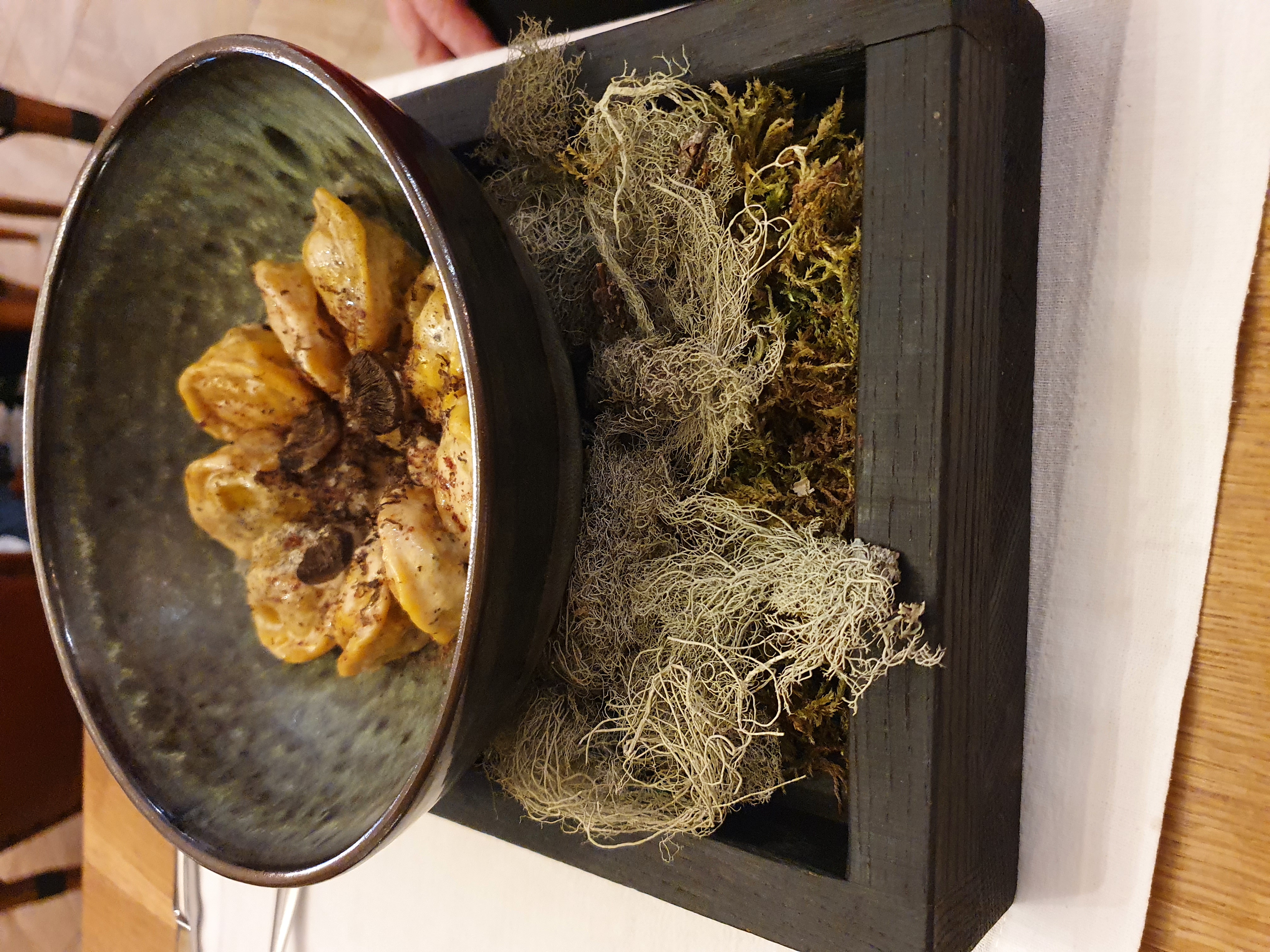 Фото Три СовЫ