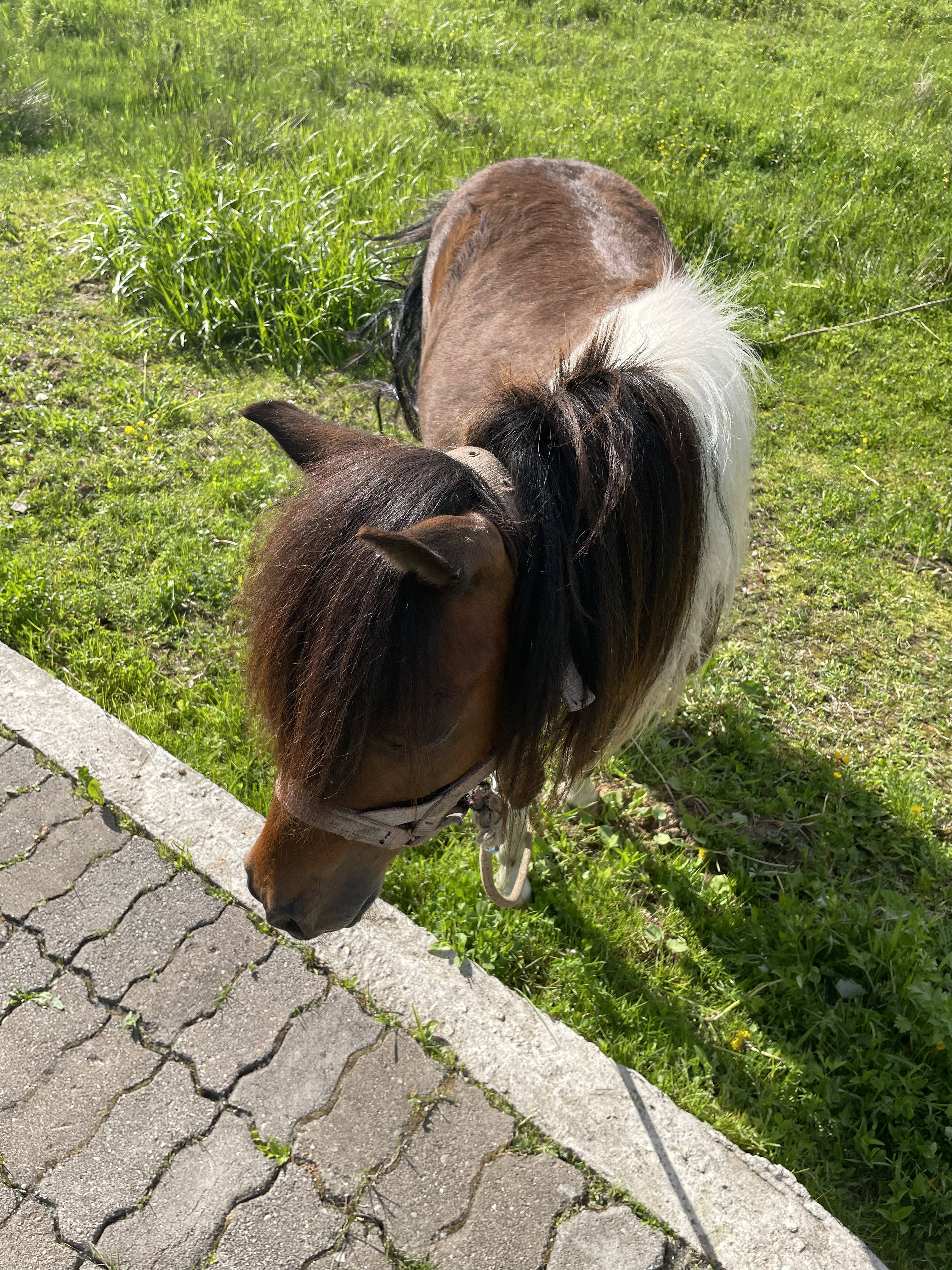 Фото База отдыха Берёзовка