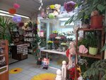 Дизайн-студия Цветы (Pieramozhcaw Avenue, 89к1) ، محل زهور