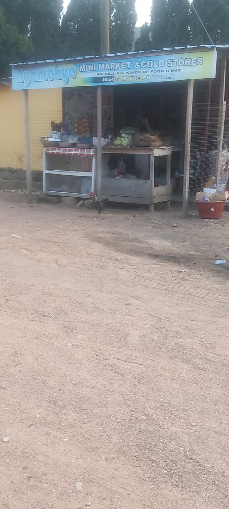 Frozen food products Nyamekye coldstore, Earth, photo