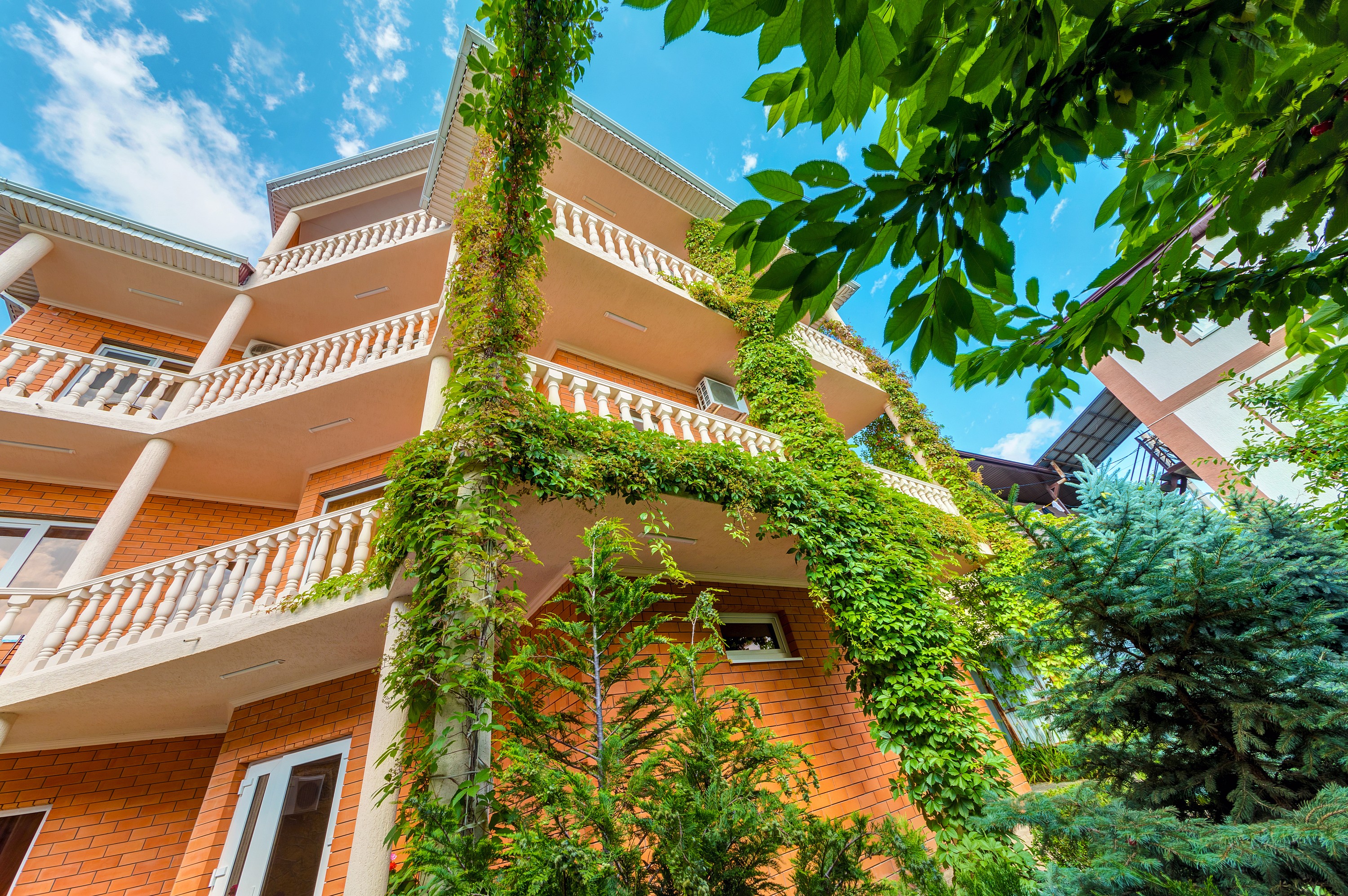 Фото Гостевой дом Эллина