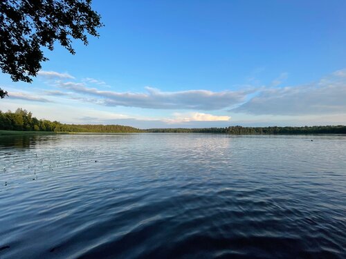 Пляж Пляж, Санкт‑Петербург и Ленинградская область, фото