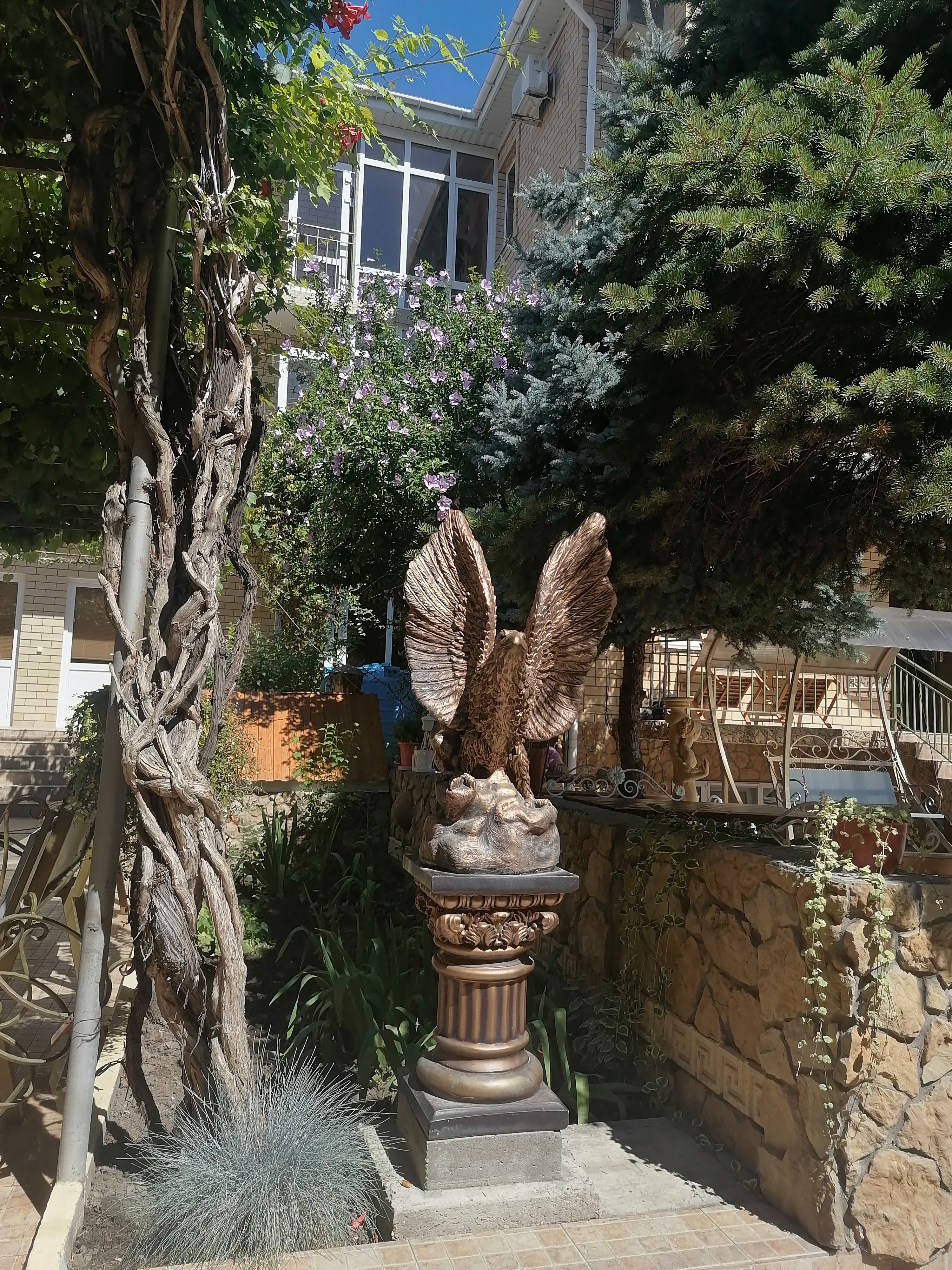 Фото Костас