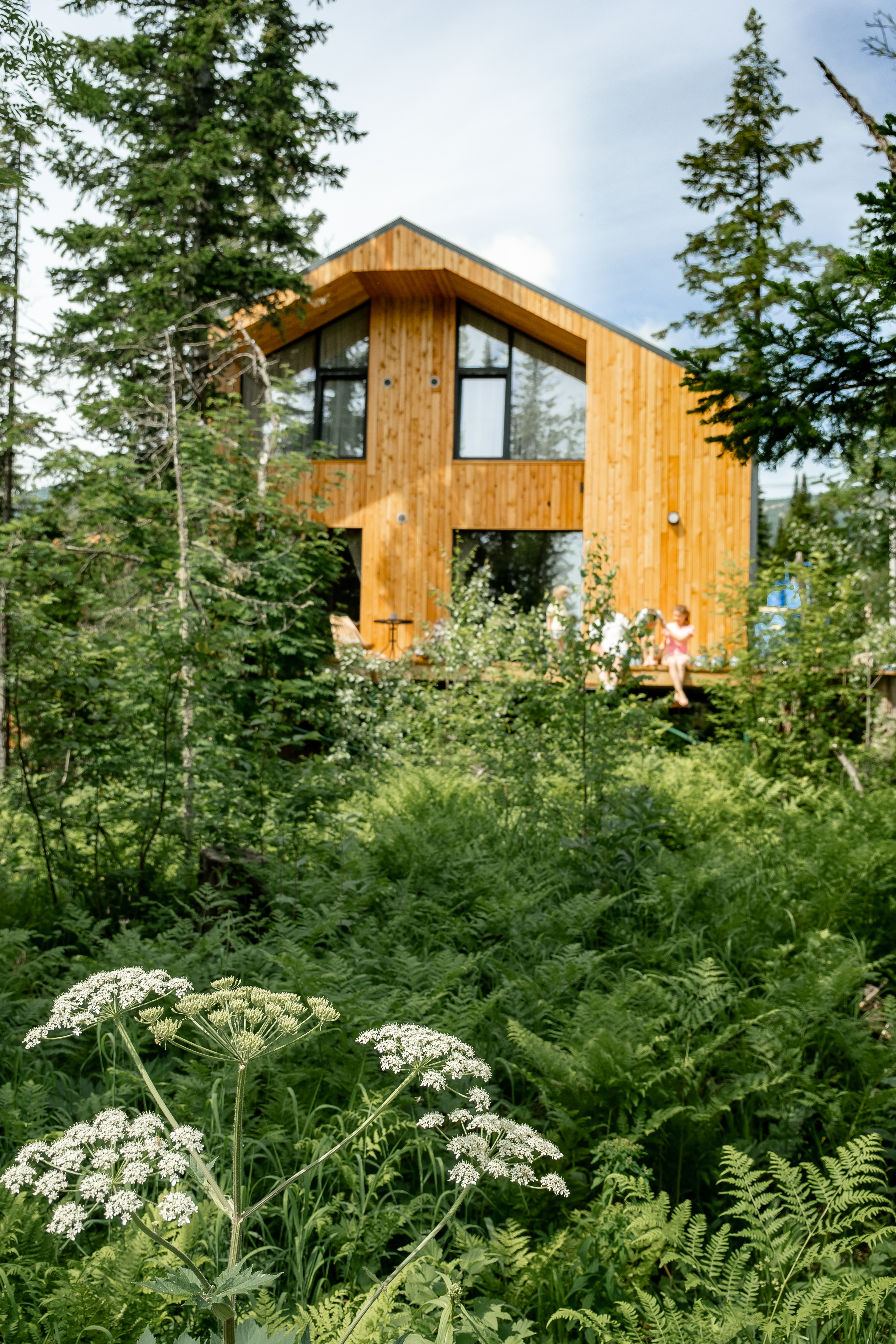 Фото Svekla project