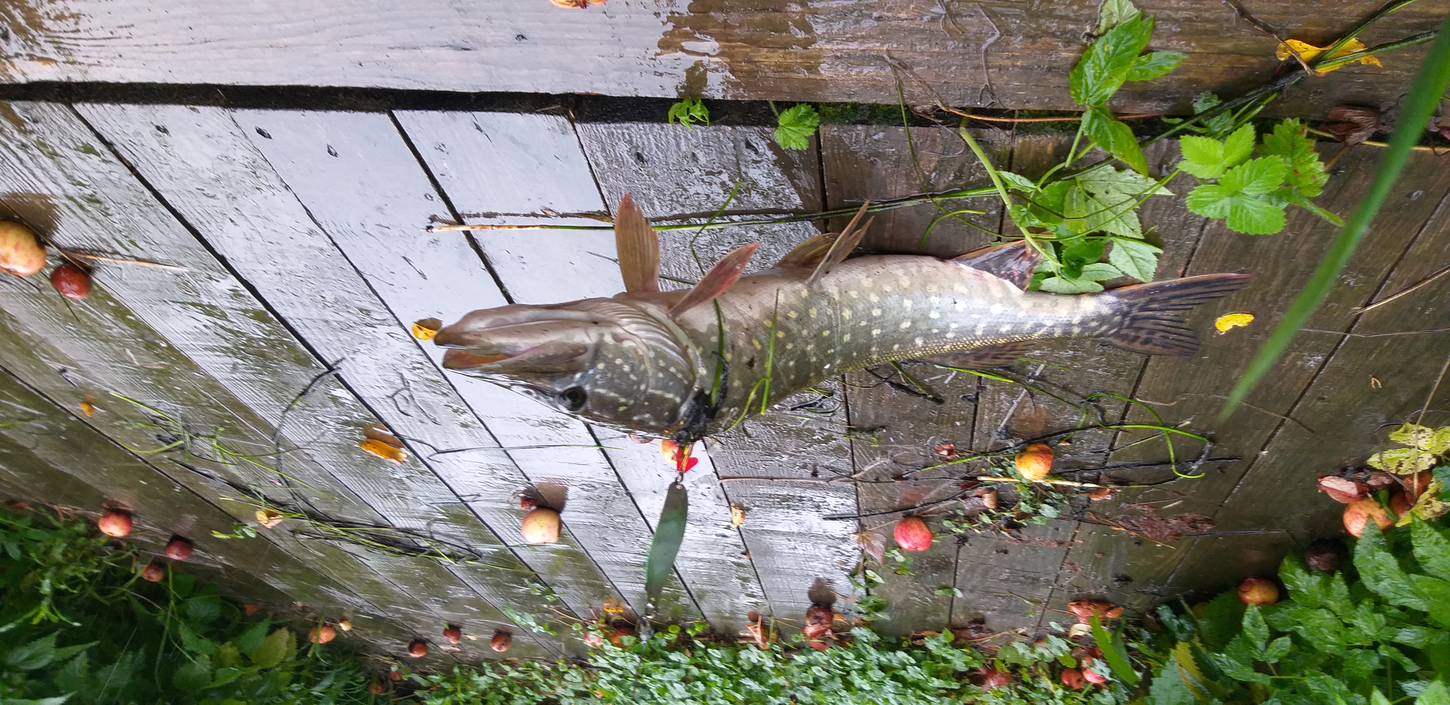 Фото Русские просторы
