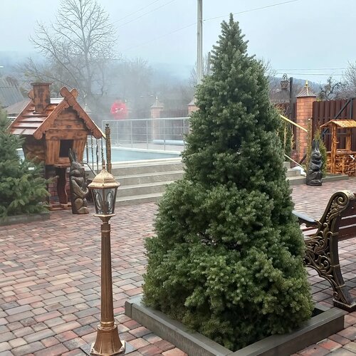 Иное жильё Господин Постоялец в Республике Адыгея