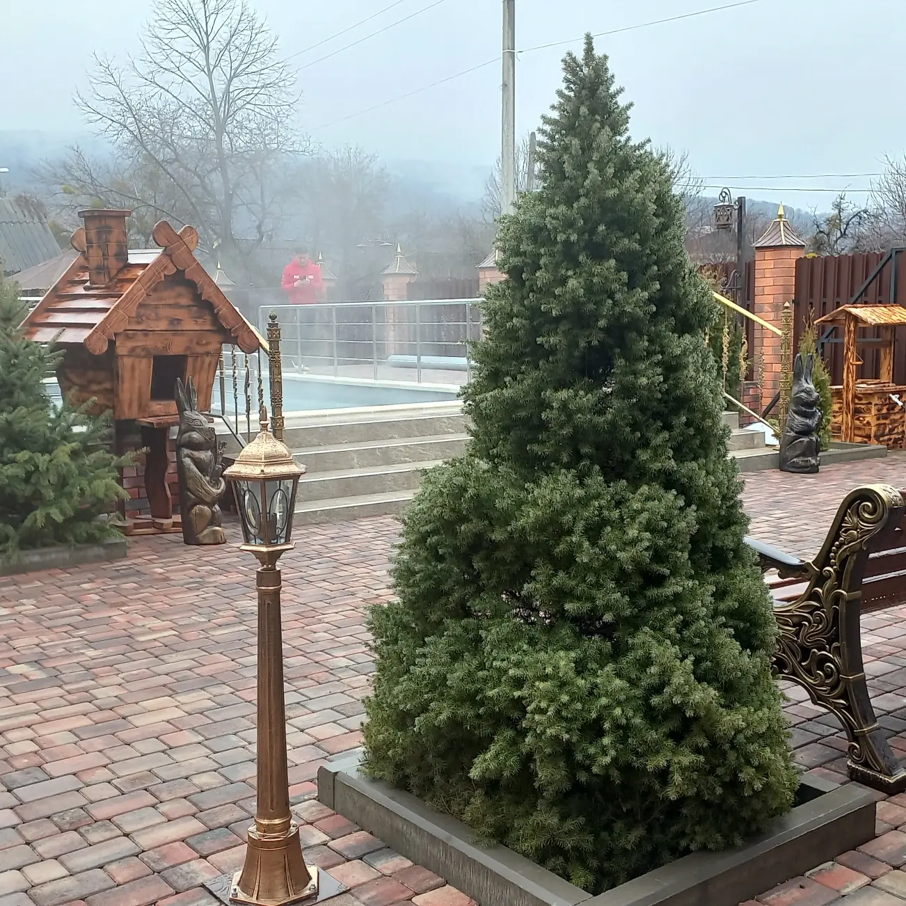 Фото Господин Постоялец