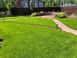 Фабрика газона (Zaschitnikov Moskvy Avenue, 14), landscape design