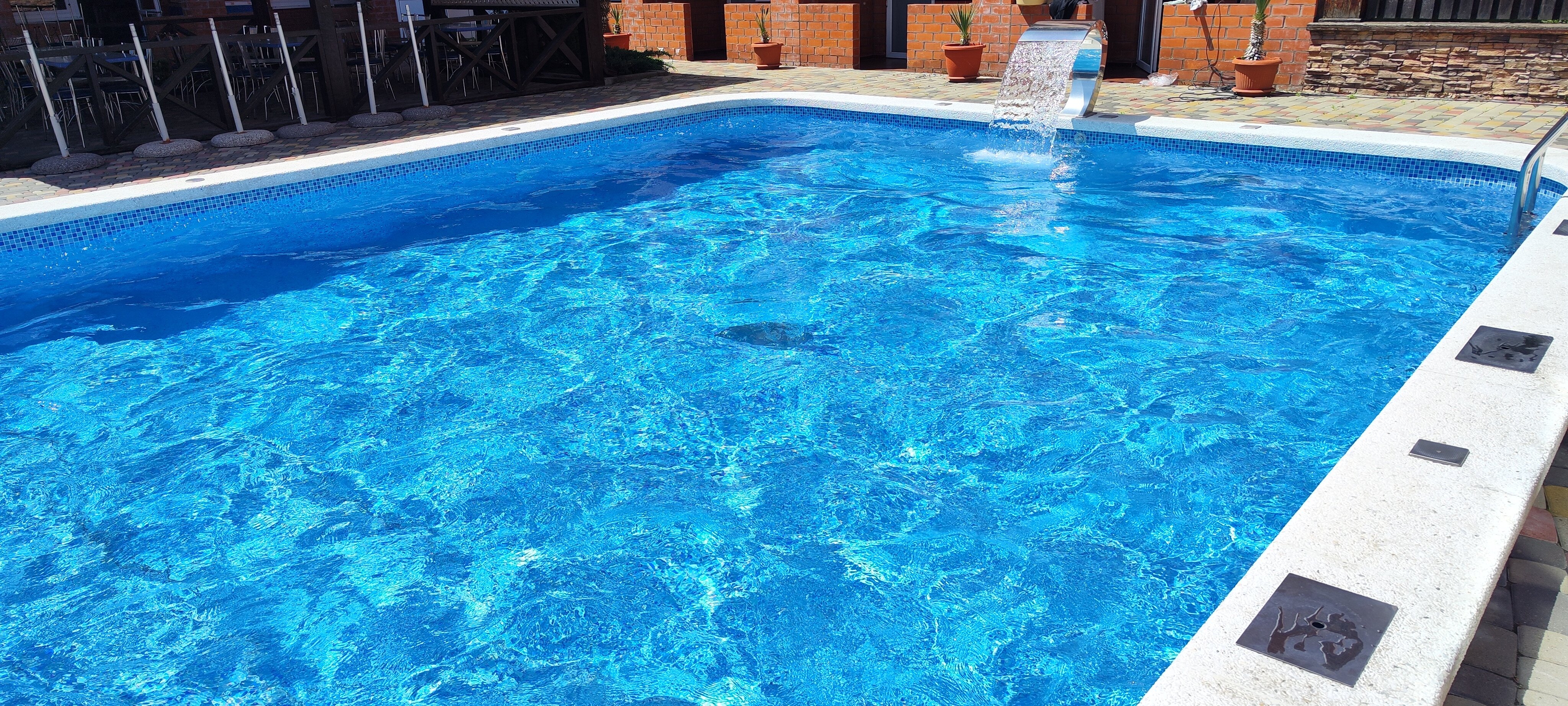 Фото Багира