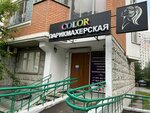 Color (Krasnaya Gorka Subdistrict, Pobedy Avenue, 9/20), beauty salon
