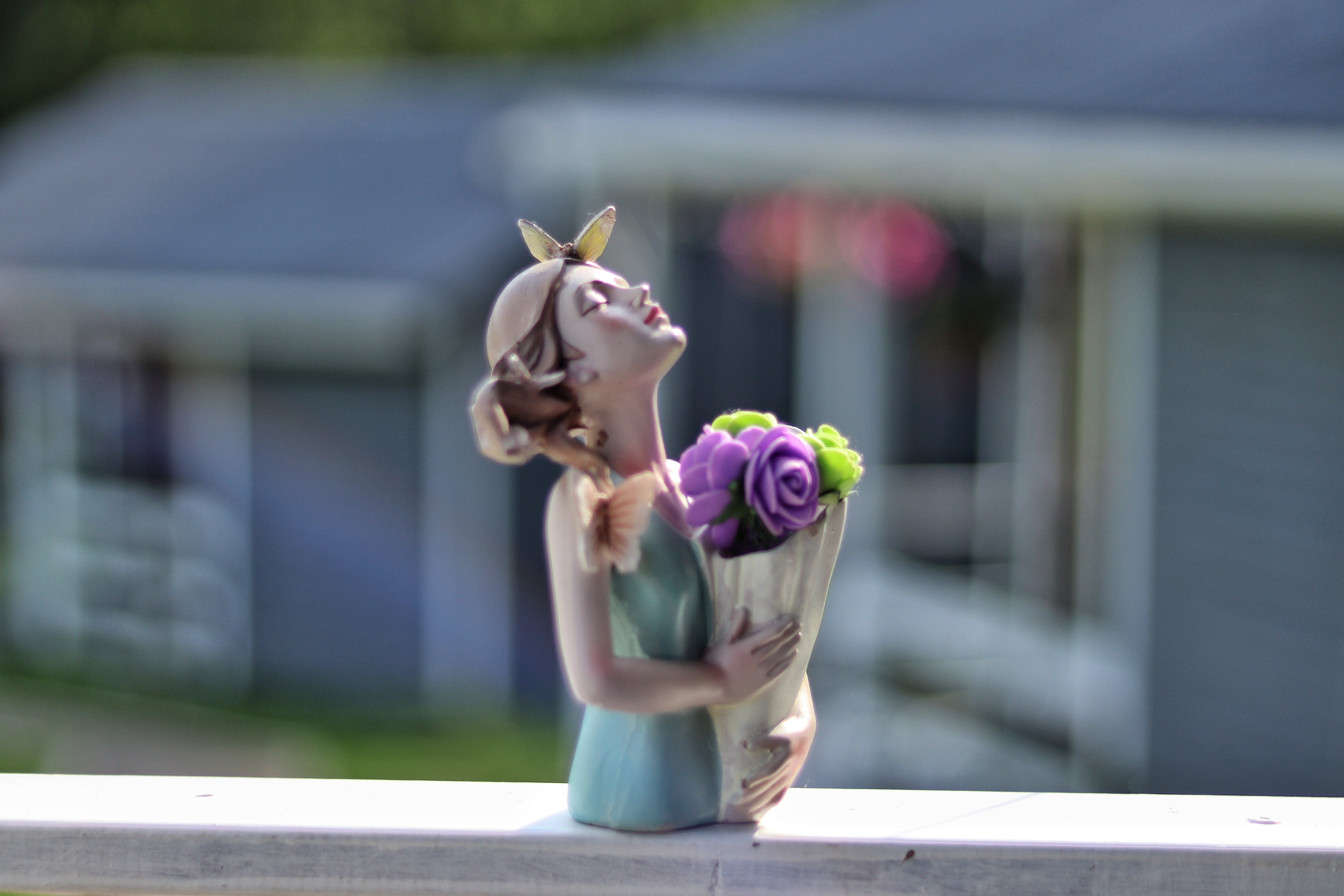 Фото Прованс