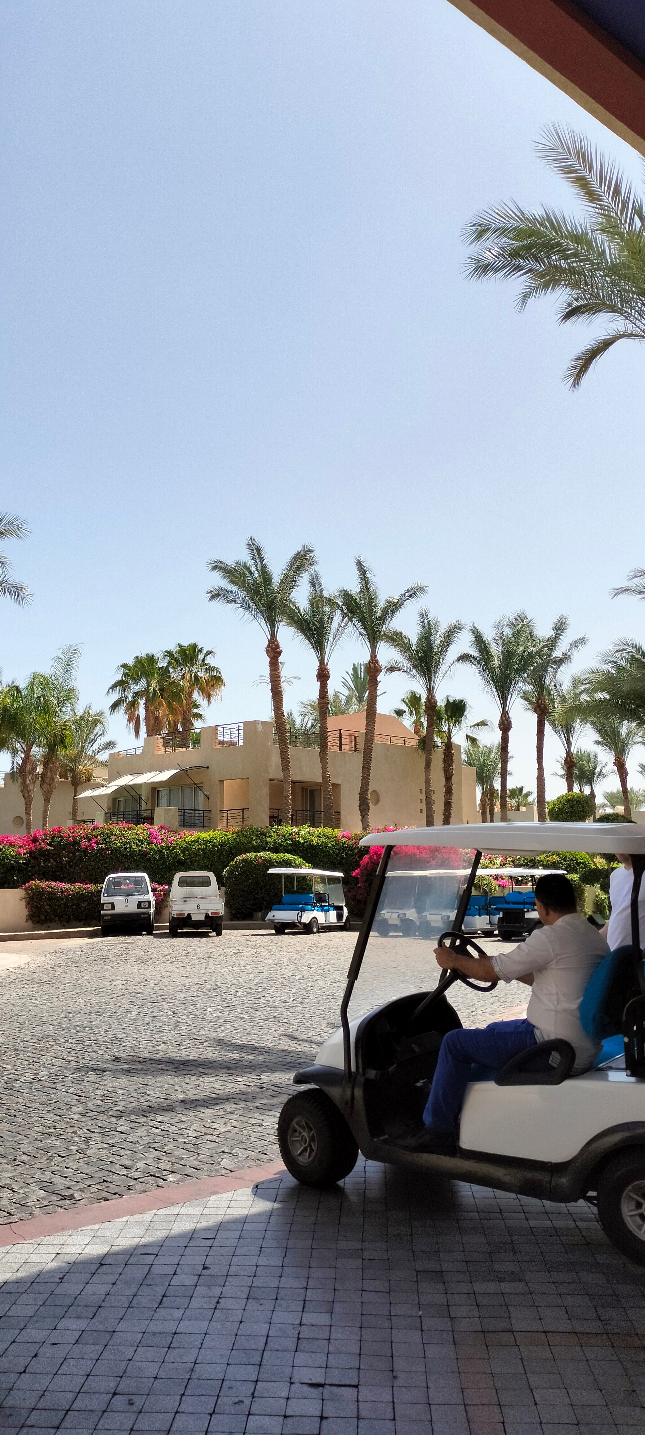 Фото Grand Rotana Resort & SPA 