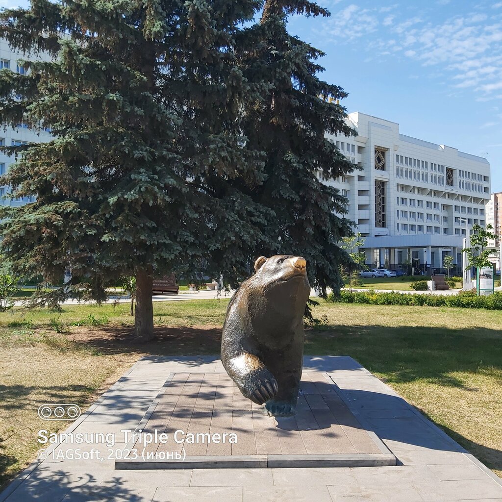 Скульптура "Легенда о пермском медведе" (Пермь - Пермский край)
