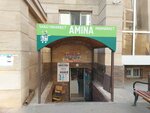 Amina (Álıhan Bókeıhan kóshesi, 17/1), grocery