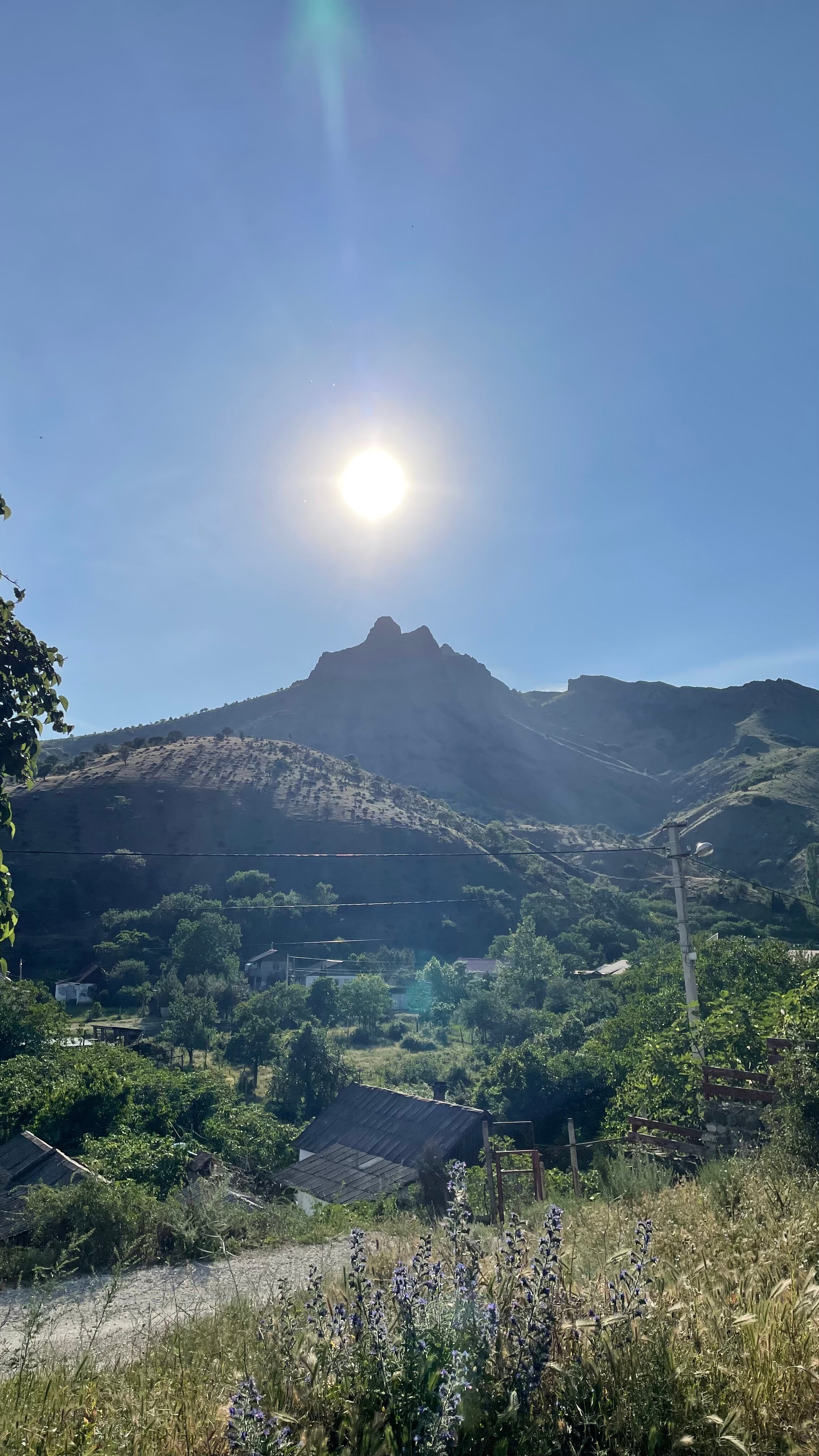 Фото Арпат Зеленогорье