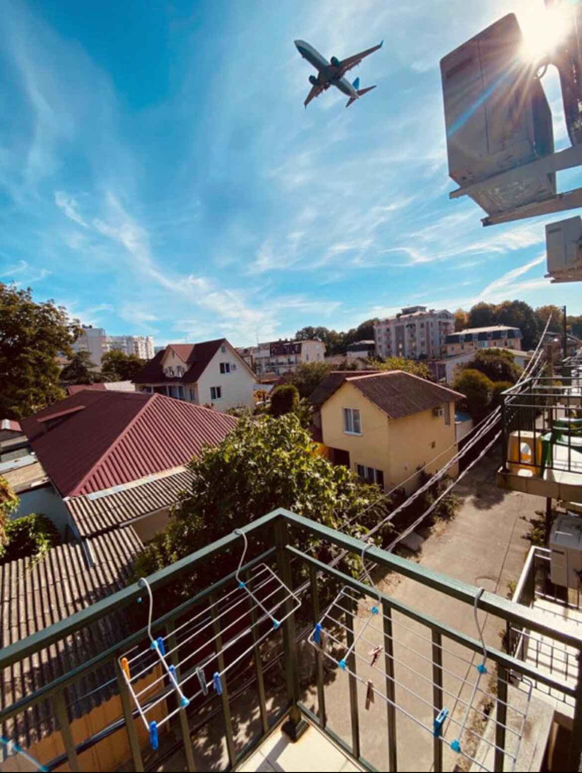 Фото Гиацинт