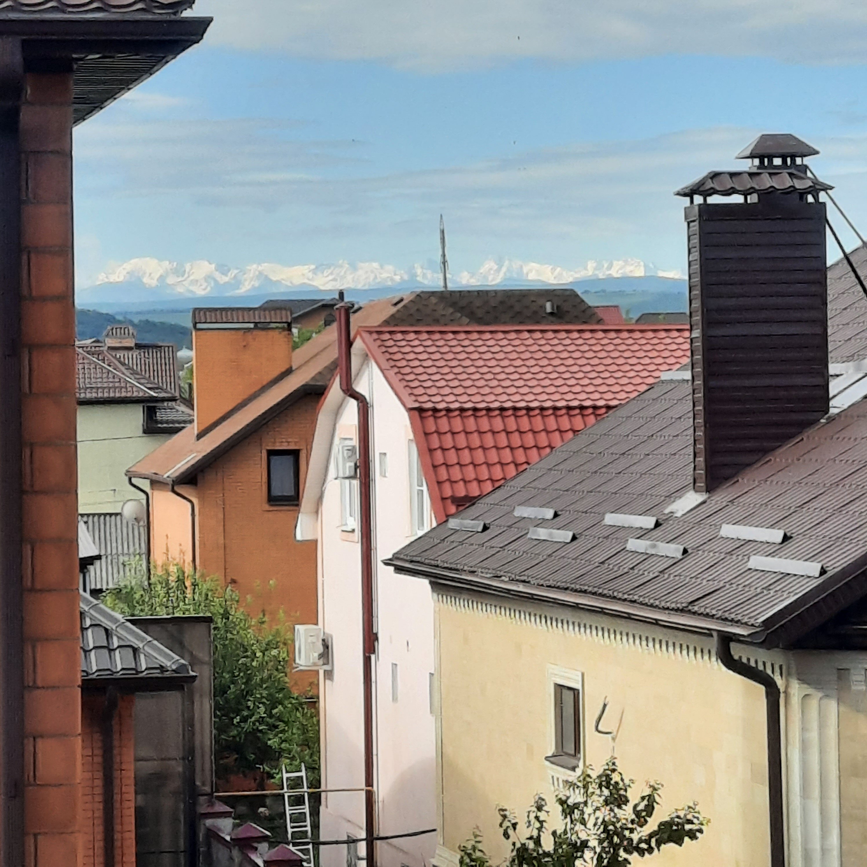 Фото У Грека