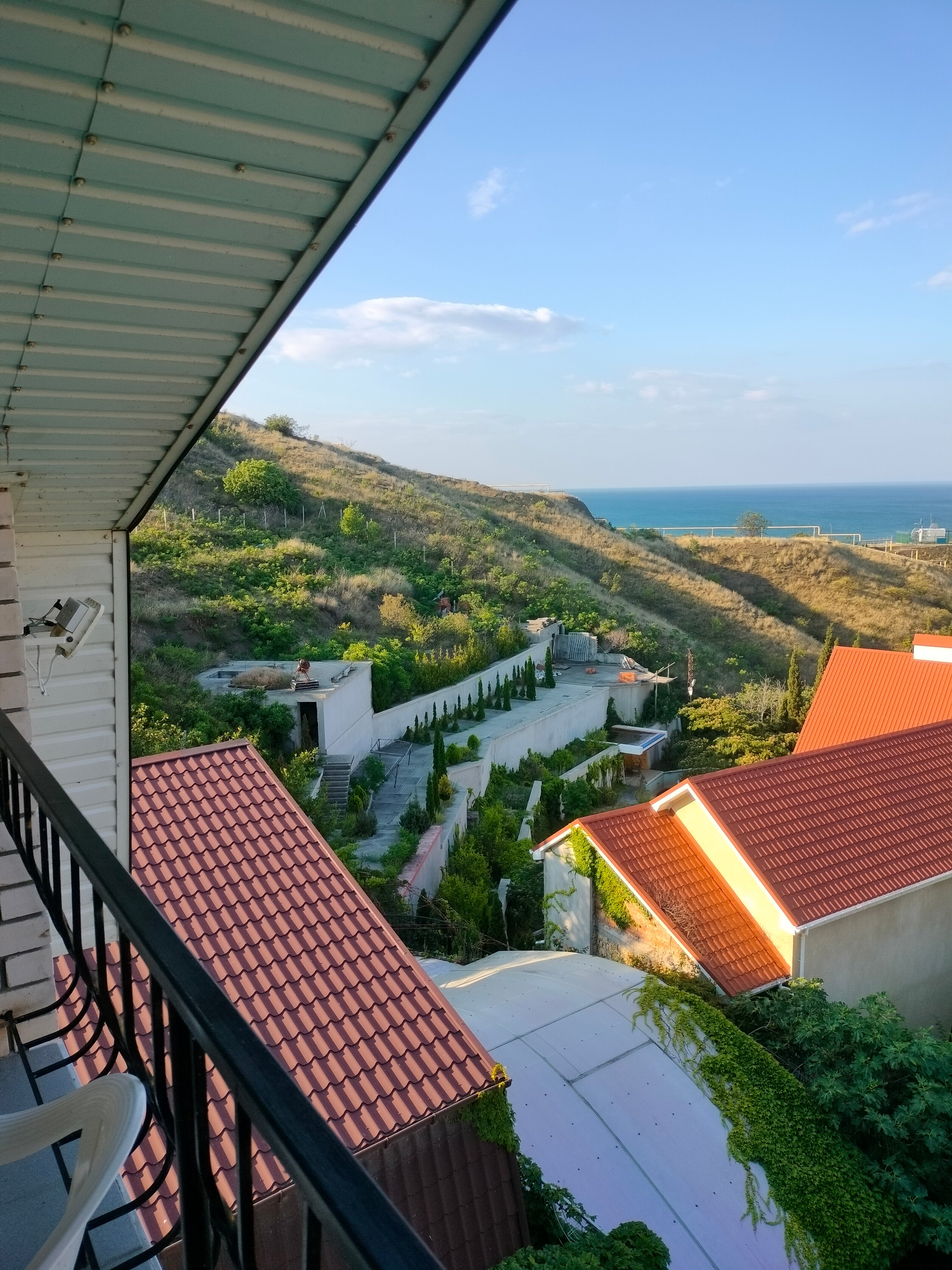 Фото Надежда