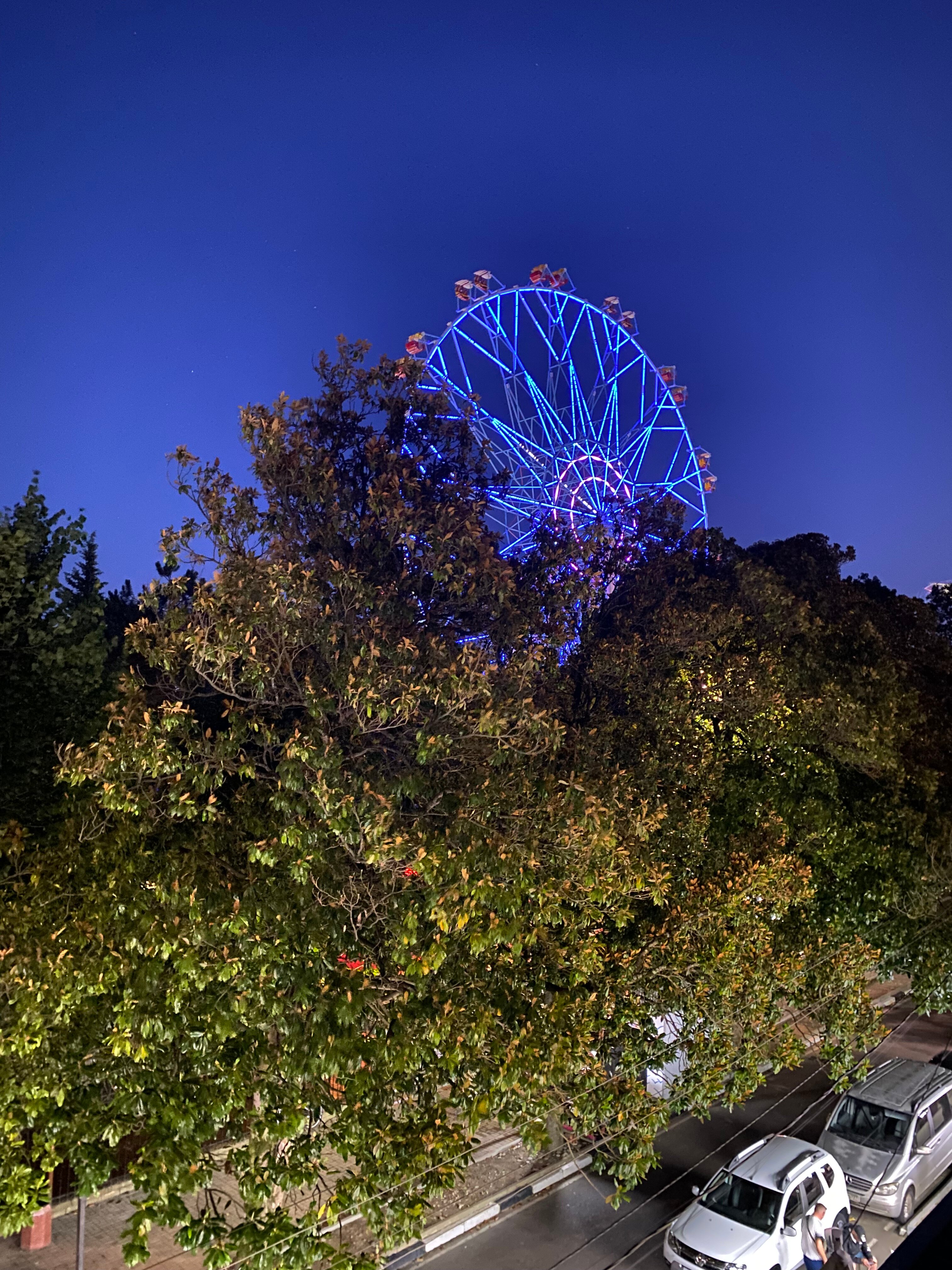 Фото Колибри Beach