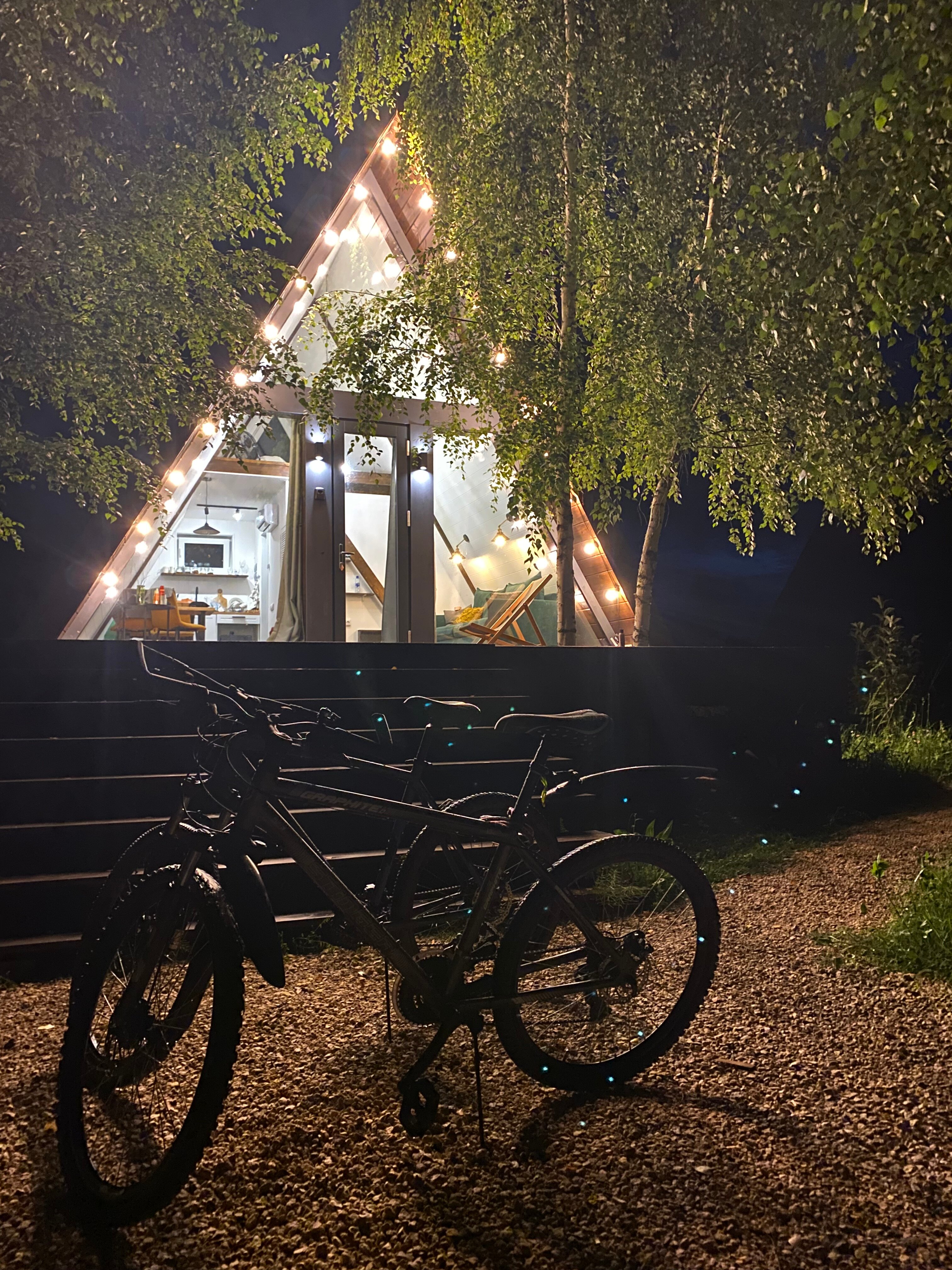 Фото Лес и небо