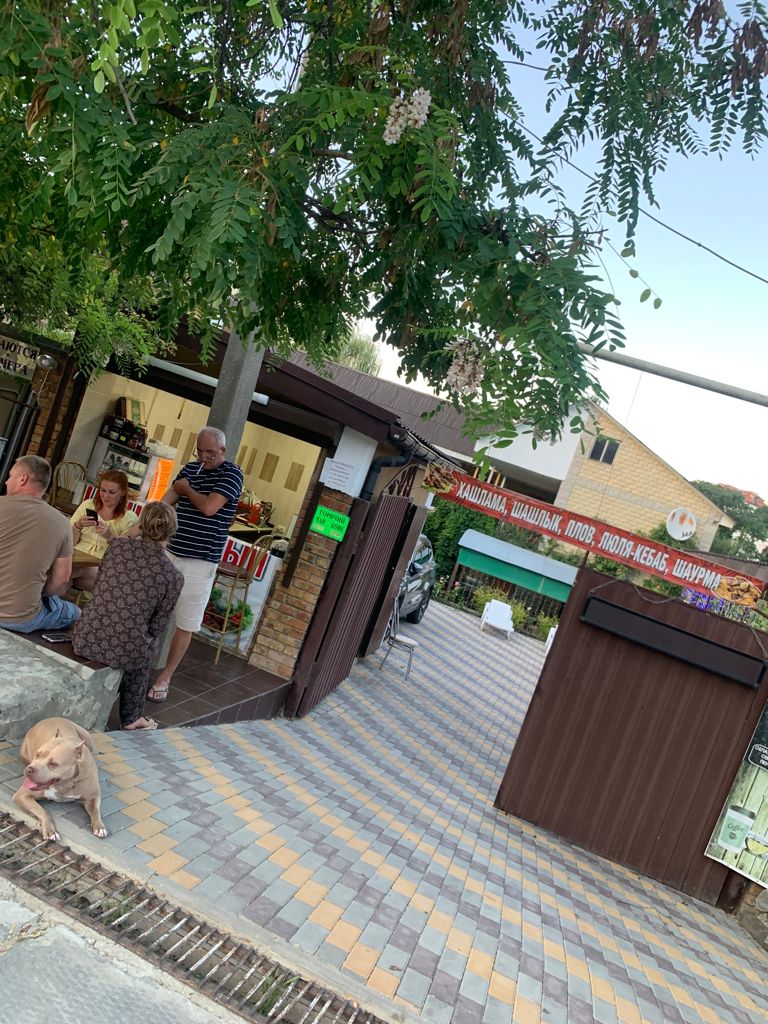 Фото Гостевой дом Lion