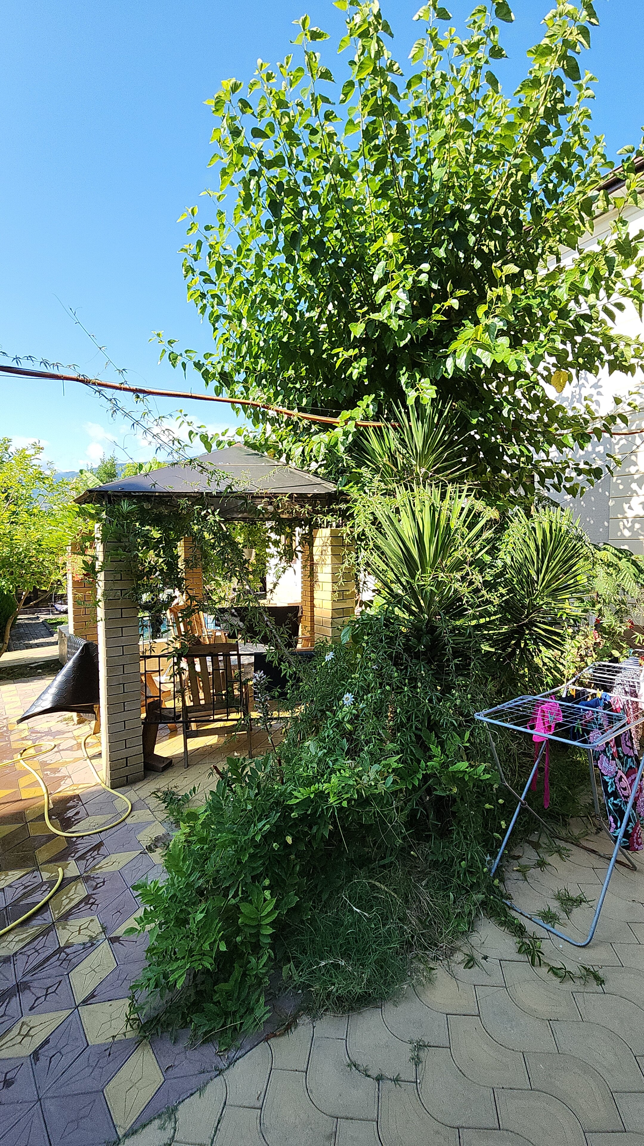 Фото Комплекс Коттеджи в Гагре