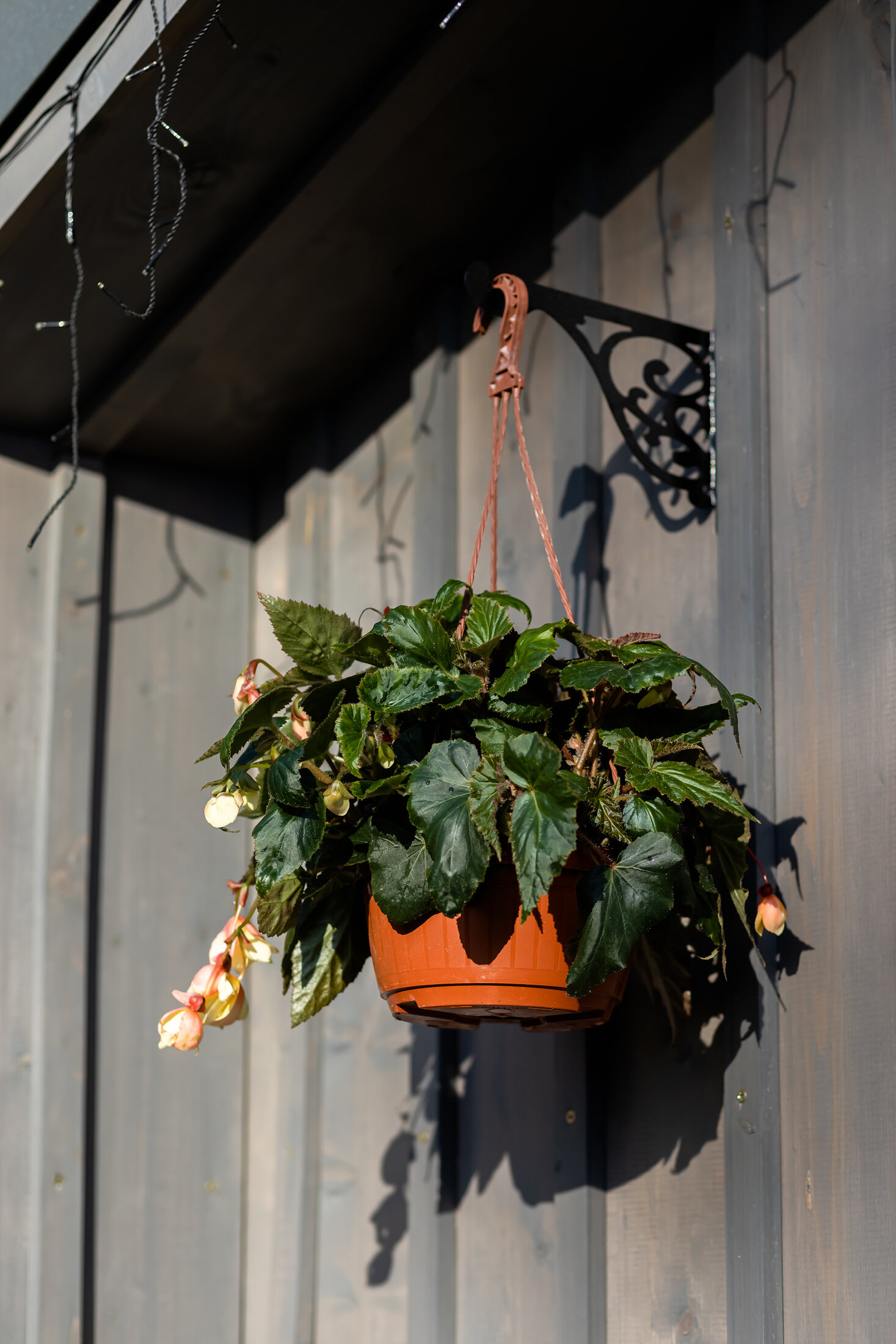 Фото Пещерки