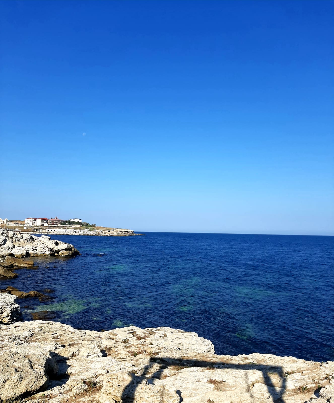 Фото Витязь