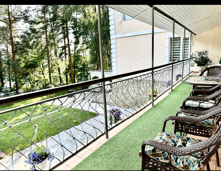 Фото Лесная сказка