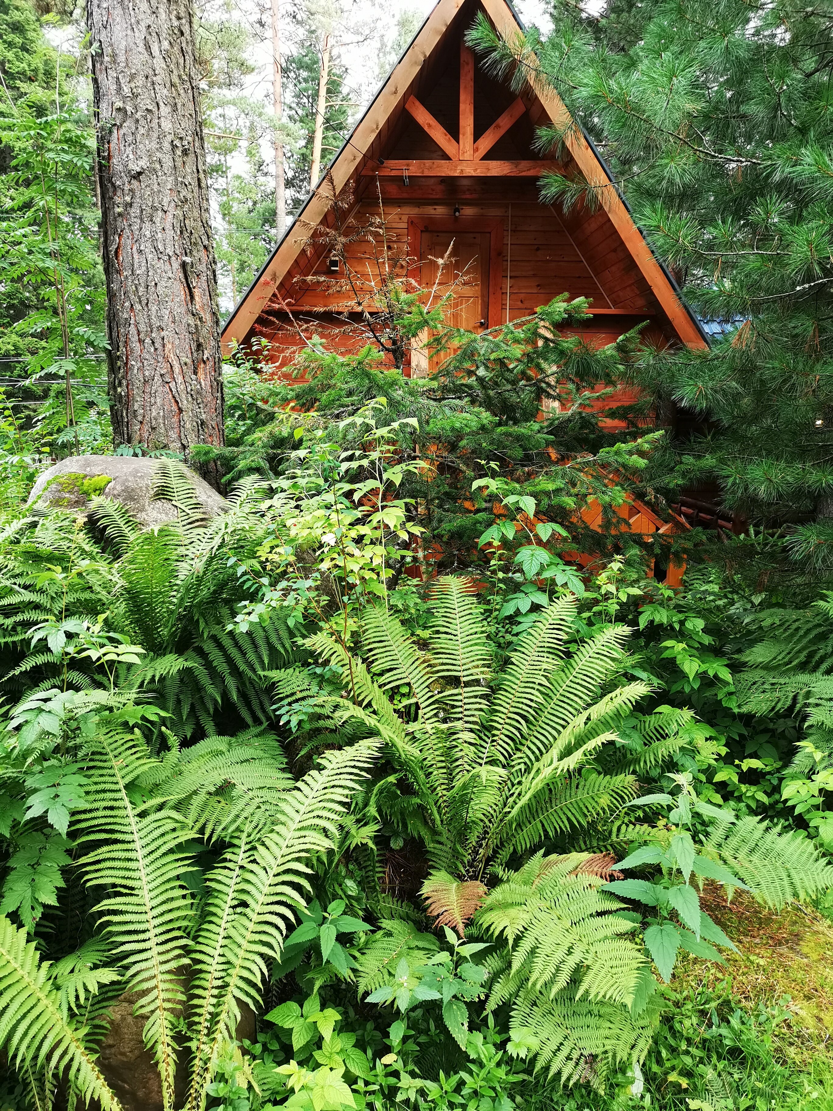 Фото Усадьба Лукоморье