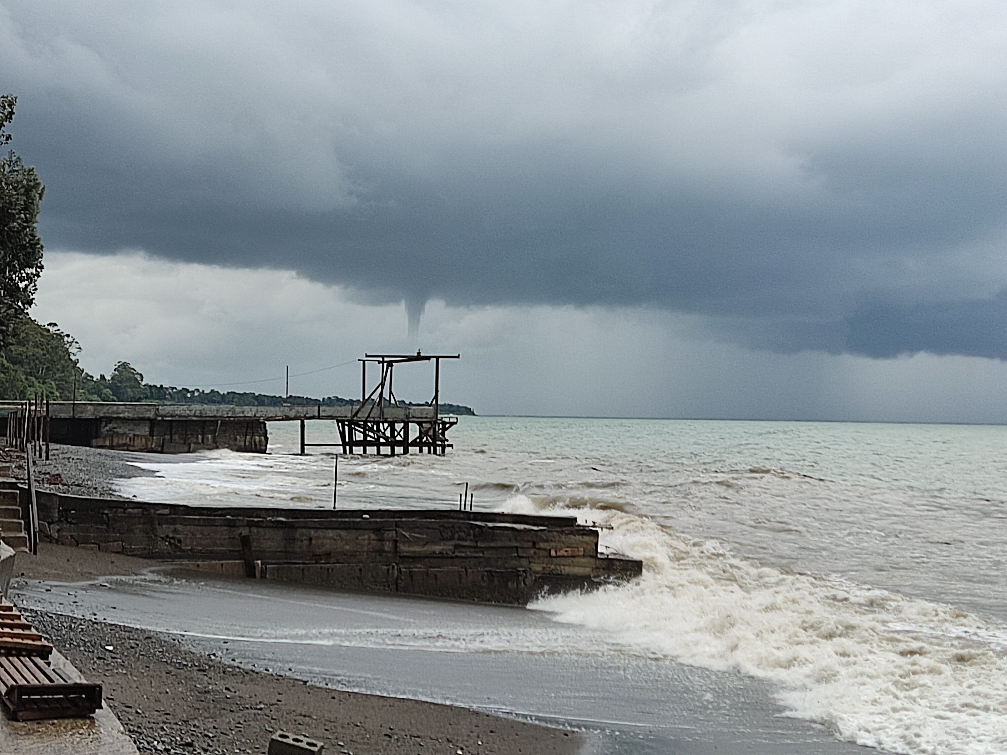 Фото Эвкалиптовая роща