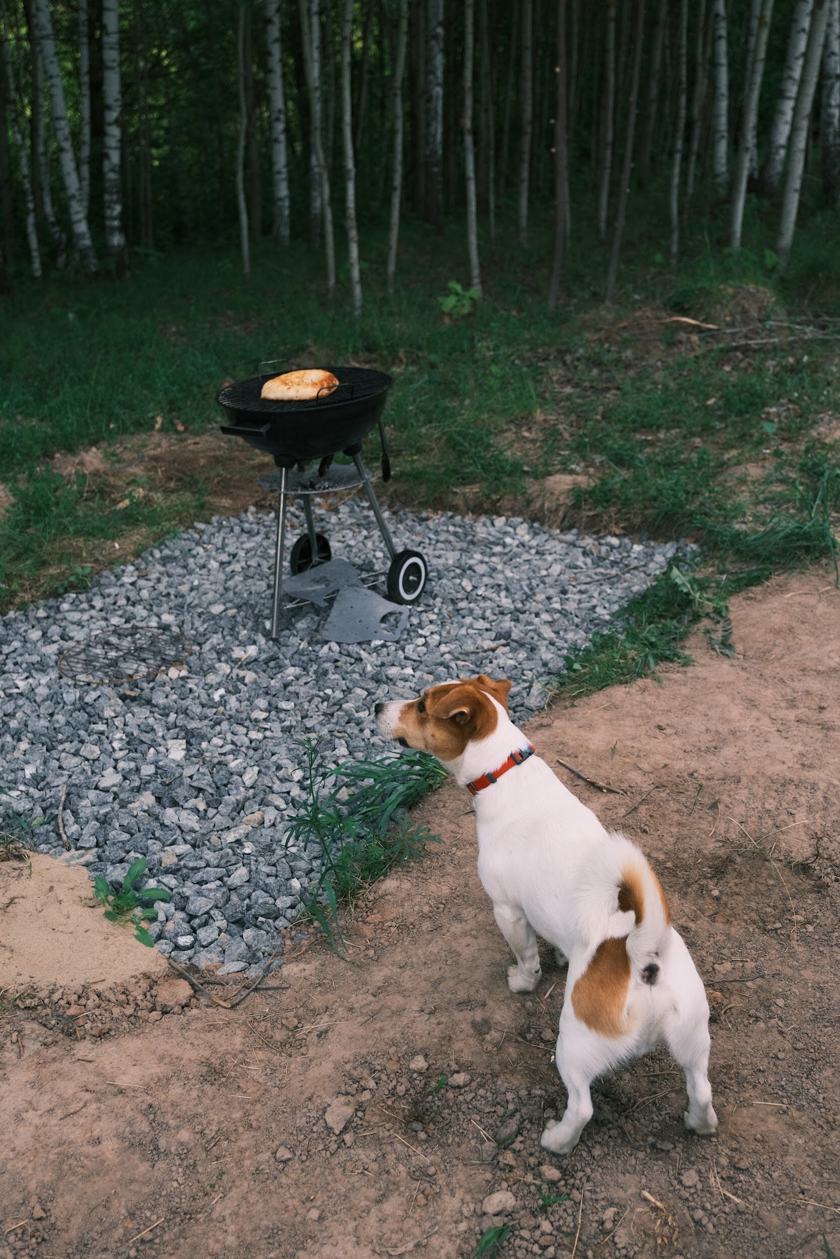 Фото Sviyaga Glamp