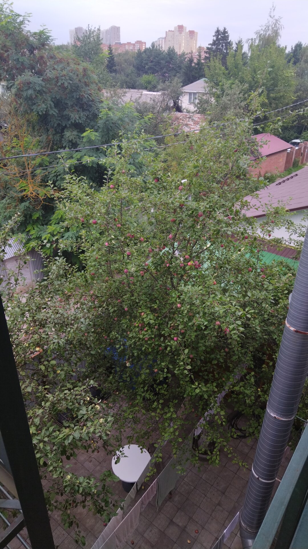 Фото Вырубово