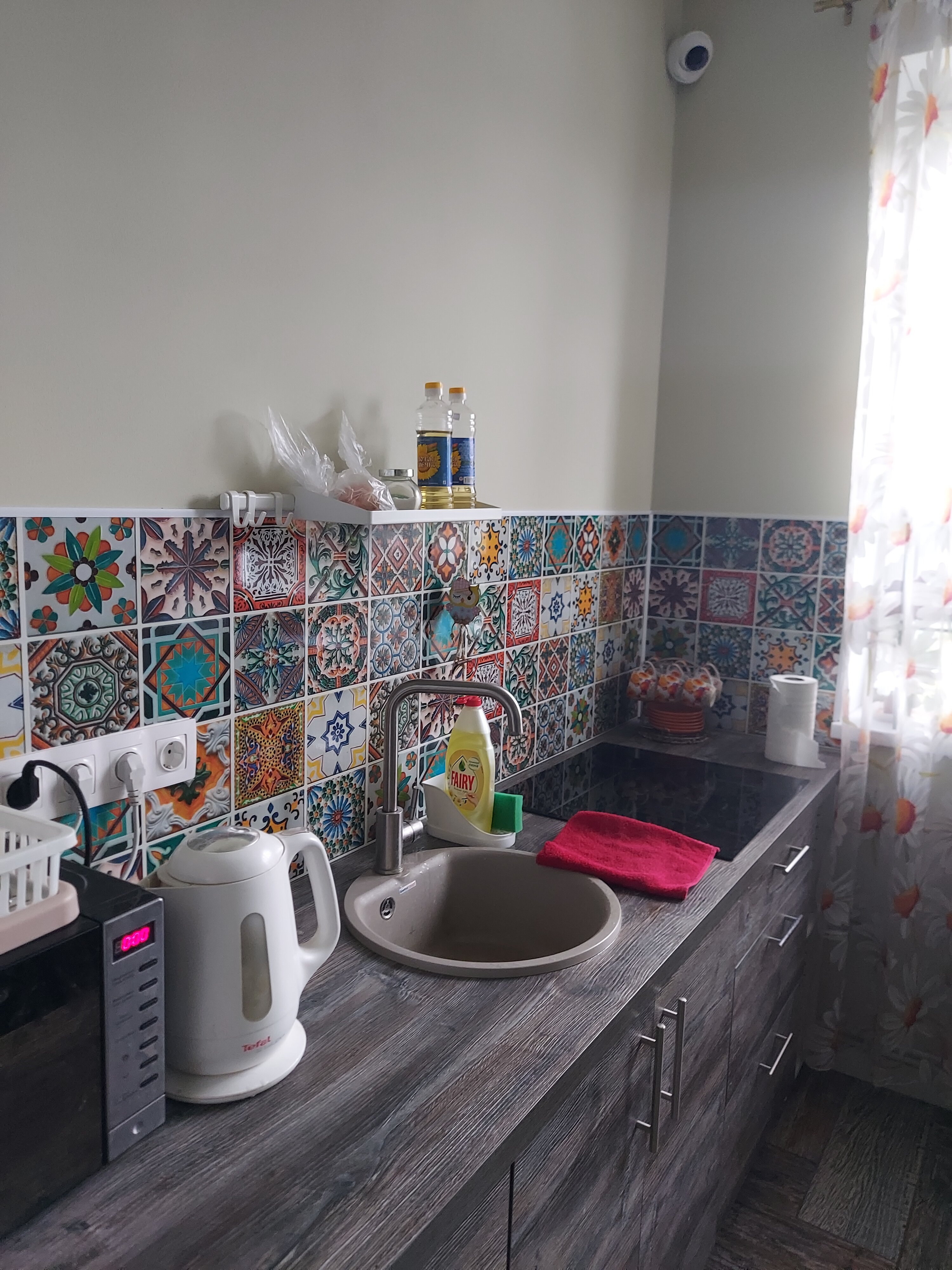 Фото Сова в Шереметьево