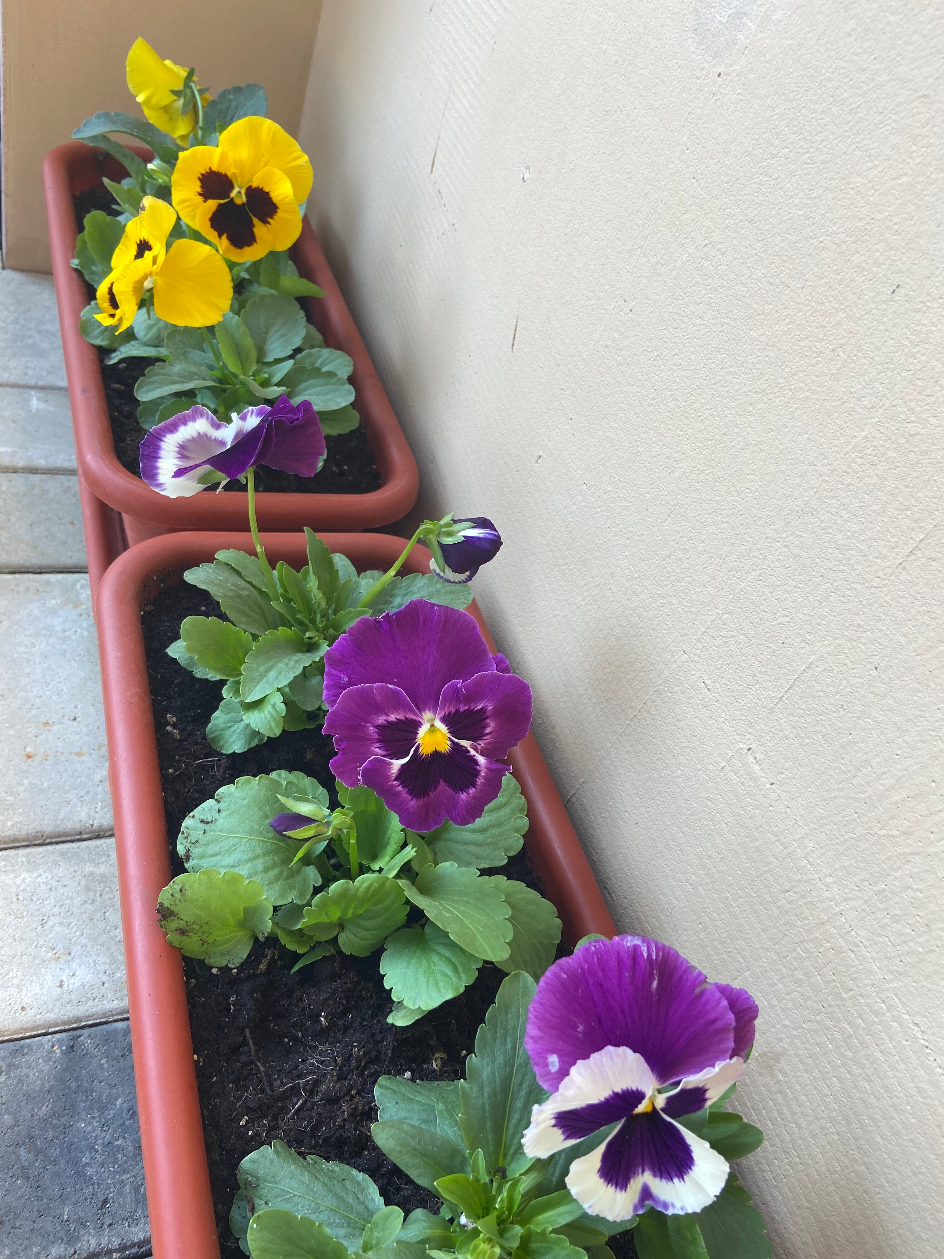 Фото Golden Plaza