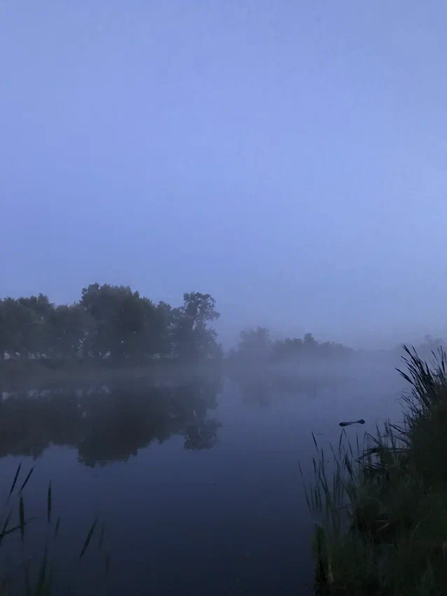 Фото Место Встречи