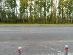 Новостройка (Kemerovo — Kuzbass Region, Belovskiy gorodskoy okrug, posyolok gorodskogo tipa Bachatskiy, ulitsa L. Shevtsovoy), public transport stop